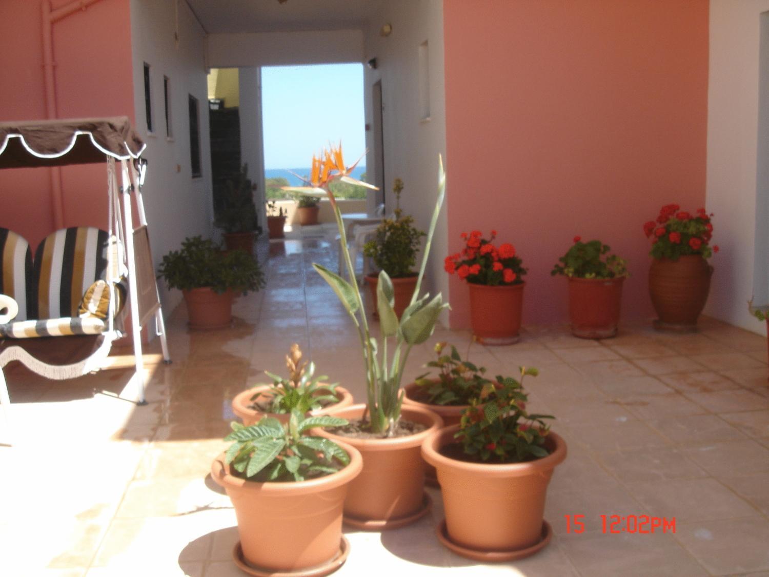 Iliaktida Apartments Rapanianá Екстериор снимка