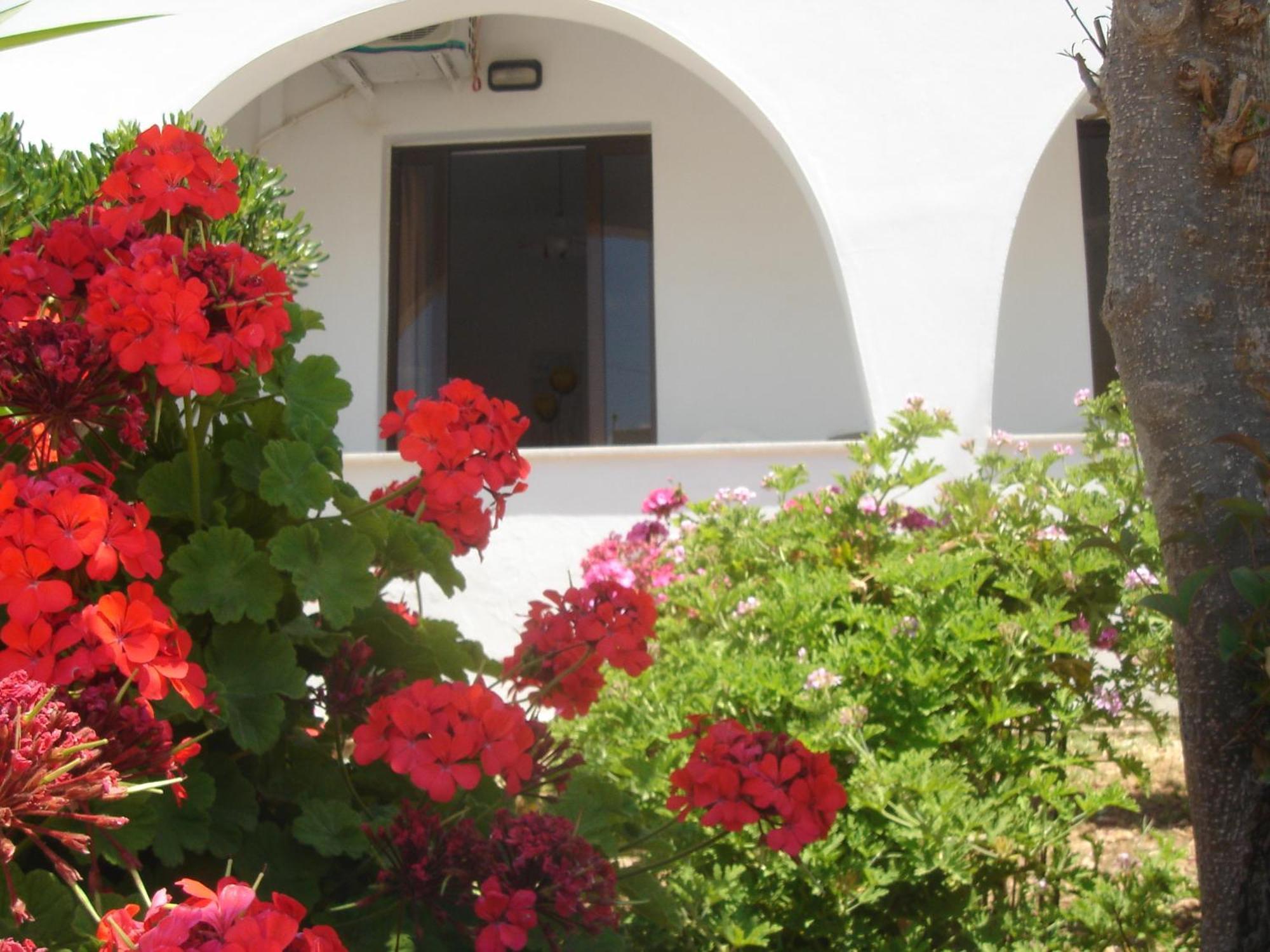 Iliaktida Apartments Rapanianá Екстериор снимка