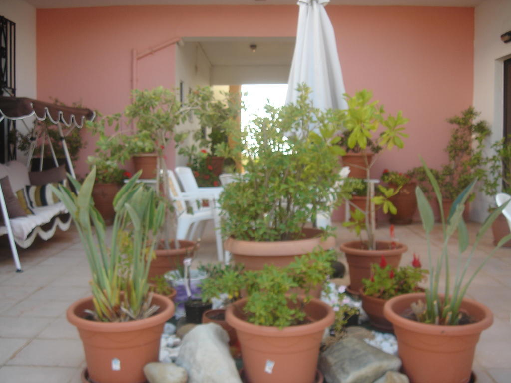 Iliaktida Apartments Rapanianá Екстериор снимка